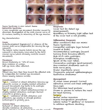 Duane Syndrome Notes