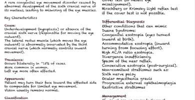 Duane Syndrome Notes