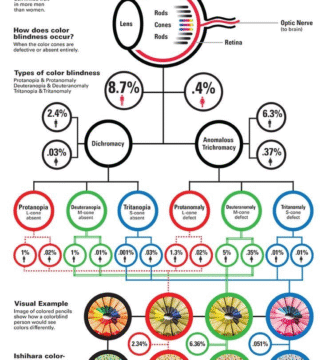 Understanding Color Blindness: Types, Causes, and Testing