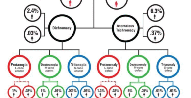 Understanding Color Blindness: Types, Causes, and Testing