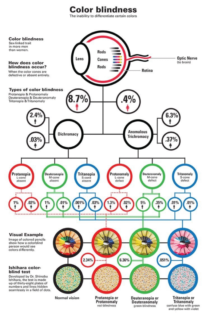 Understanding Color Blindness: Types, Causes, and Testing