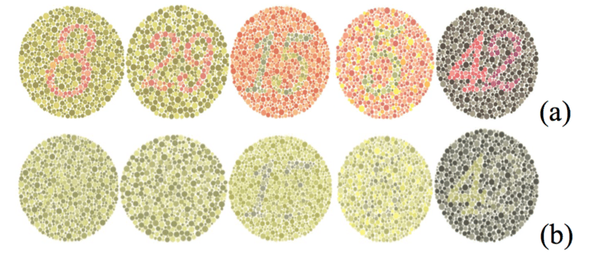 Colour Vision test