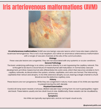 Iris Arteriovenous Malformation