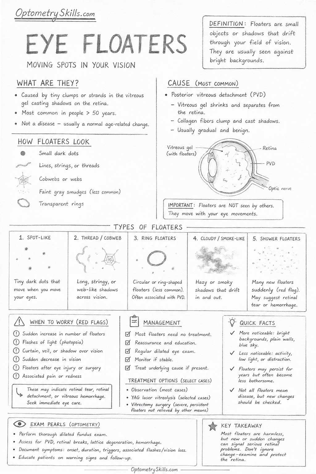 Optometry Floaters Eye Floaters Illustration - Optometryskills