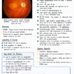 Benign Concentric Annular Macular Dystrophy